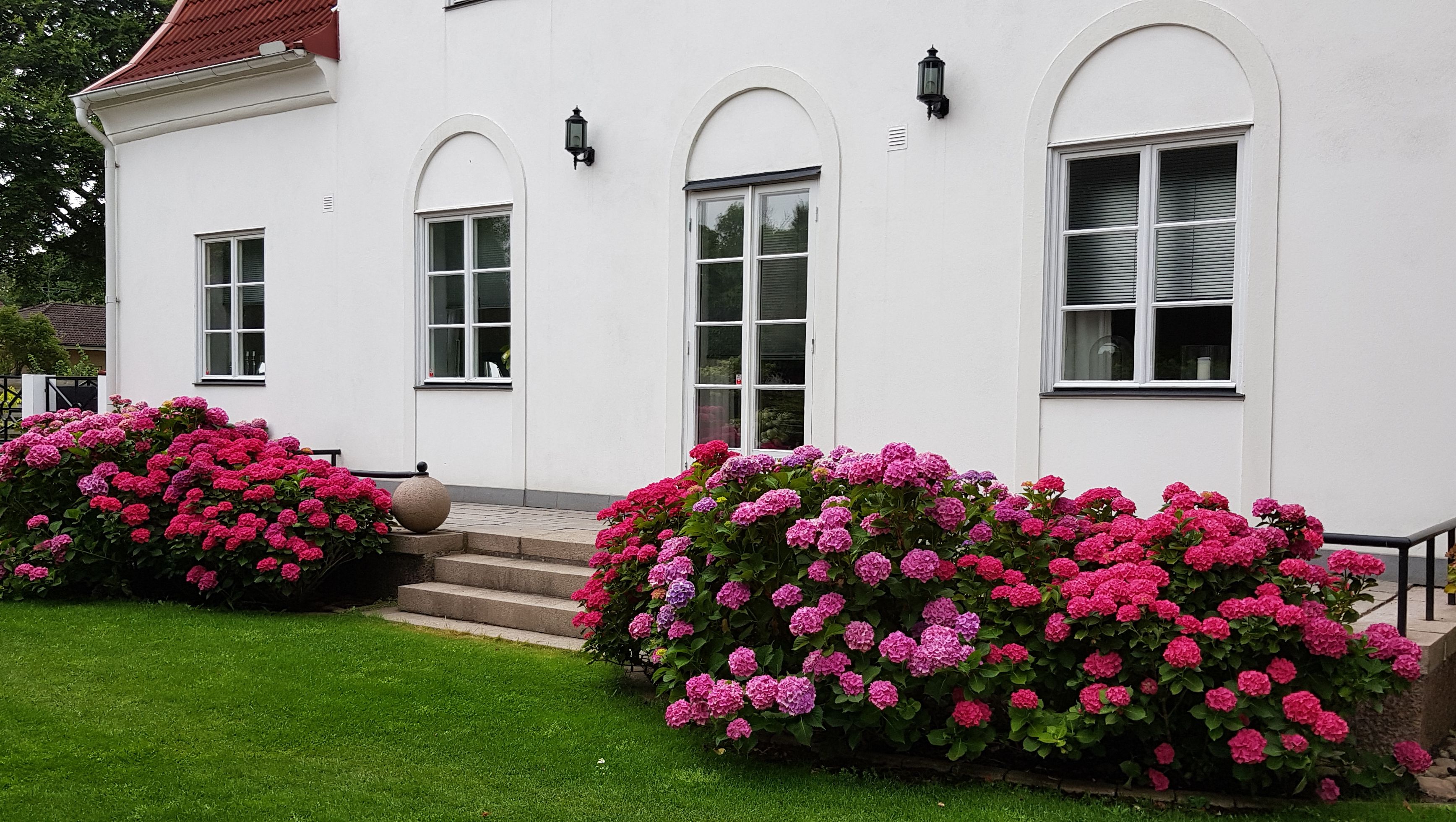 blommor